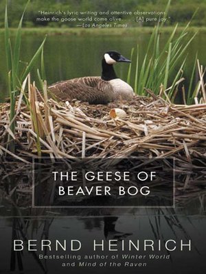 The Geese of Beaver Bog - ebook